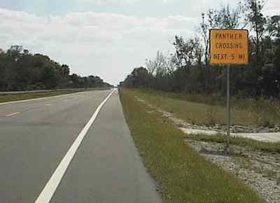 Panther crossing sign