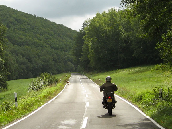 Tricker on a rural road, a crossing roe