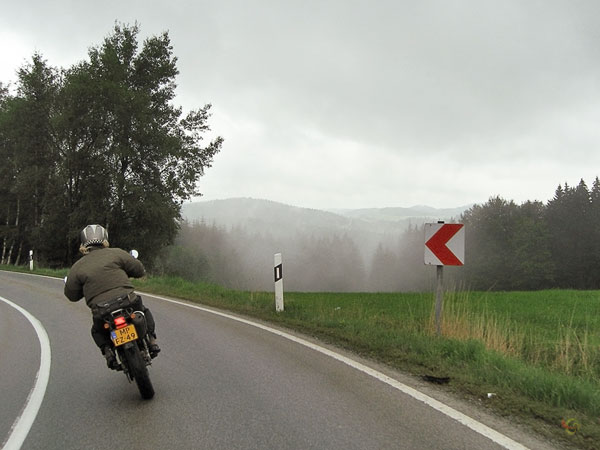 Curvy road, forest and pasture